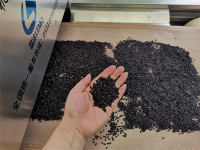 黑米微波熟化設(shè)備為黑米加工行業(yè)開(kāi)辟了新的途徑