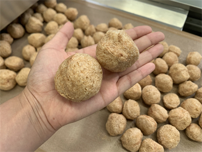 大產(chǎn)量球形拉絲蛋白微波快速烘干脫水隧道爐