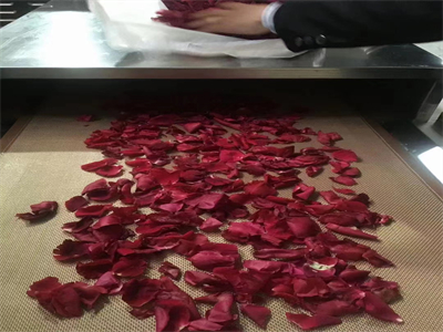 微波烘干設(shè)備，讓鮮花的美麗不褪色不凋零