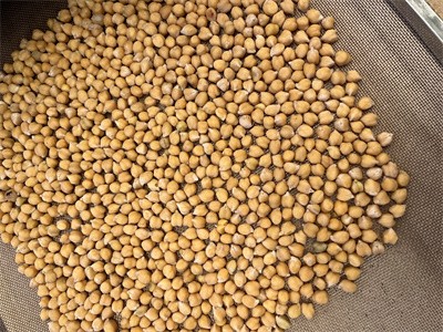 Application of Microwave Baking Equipment in the Chickpea Snack Market？