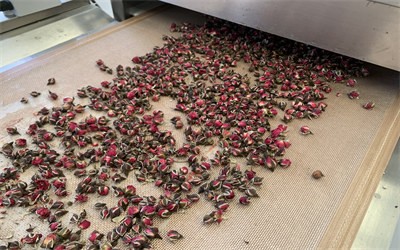 Flower tea can be dried using microwave equipment？