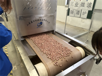 由微波烘烤設(shè)備引發(fā)的產(chǎn)業(yè)變革，改變了花生米的加工方式