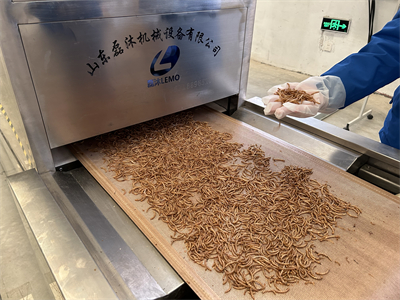 黃粉蟲微波烘干設備解決了傳統(tǒng)烘干方法存在的諸多問題